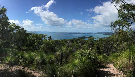 Mount Rooper Lookout 