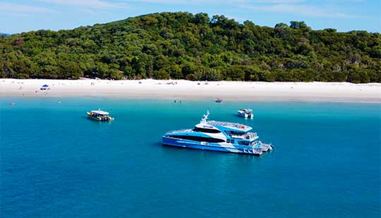 Sealink Whitsundays